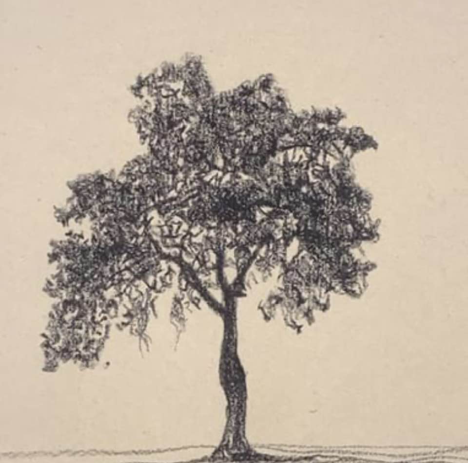 Pintura Daniela Steel 03